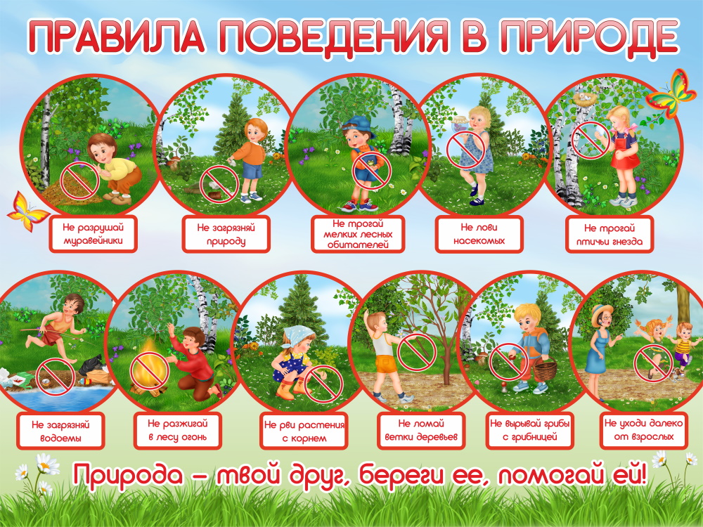 Изображения.