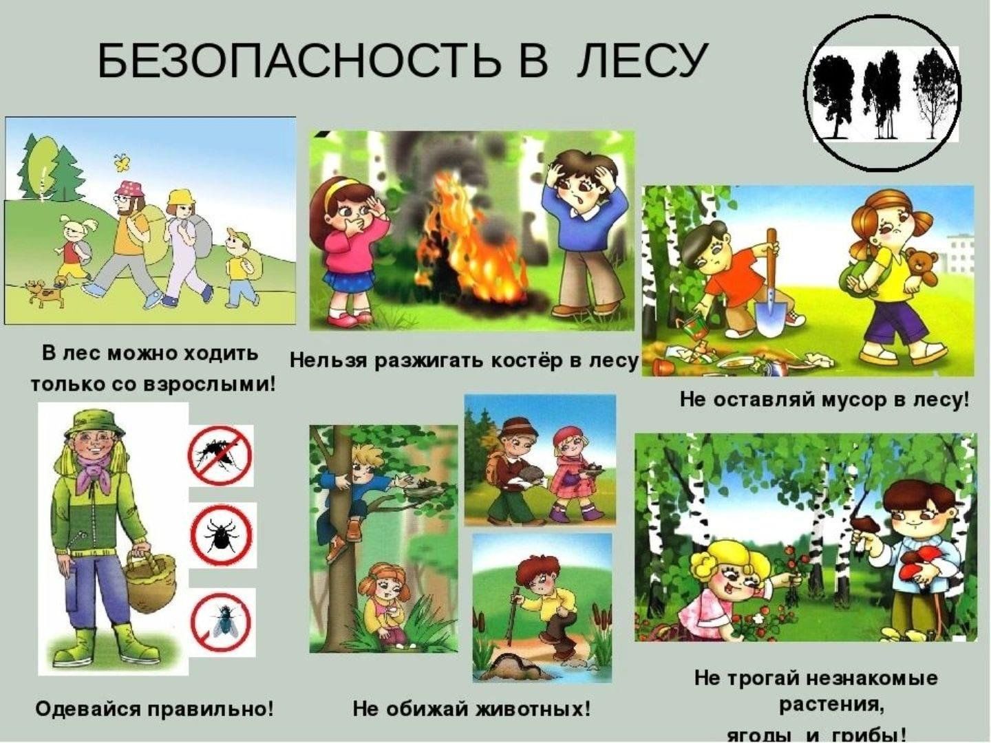 Изображения.