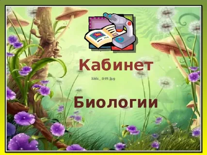 Изображения.