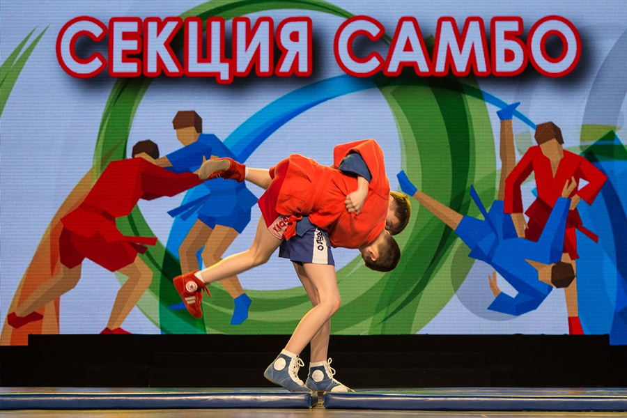 Секция самбо.