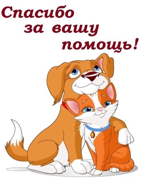 Большая помощь маленькому другу!.