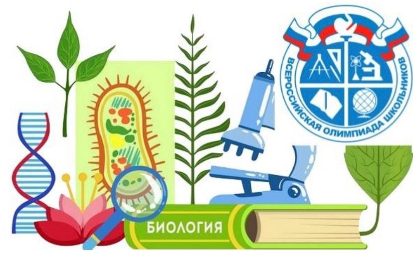 Школьный этап Олимпиады «Сириус» по биологии -.